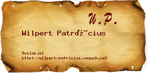 Wilpert Patrícius névjegykártya